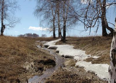 ЖК Vesna (Весна), дом 30 сек 1, цены, фото, планировки квартир, ход  строительства, официальный сайт, купить квартиру в ЖК