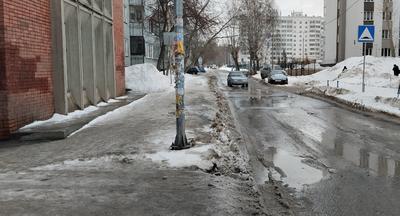 В Новосибирске состоялось торжественное открытие Аллеи Учителя и  арт-объекта, посвящённого новосибирским педагогам | НИОС