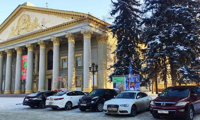 С пешеходной улицы Ленина в Новосибирске перестали воровать цветы