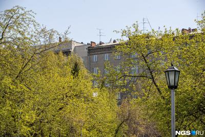 Первый месяц весны: в Новосибирске ожидают температурные качели от -15 до 0