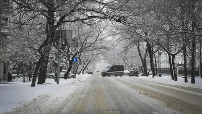 ЖК Весна Новосибирск: купить квартиру, 🏢 жилой комплекс Весна официальный  сайт, цены