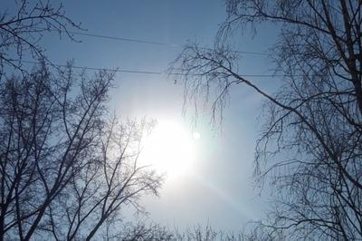В Новосибирске весной 2023 будет потепление до + 18 градусов | Atas.info |  Дзен