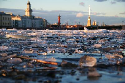 Весна в Санкт-Петербурге :: Татьяна Тарасова – Социальная сеть ФотоКто