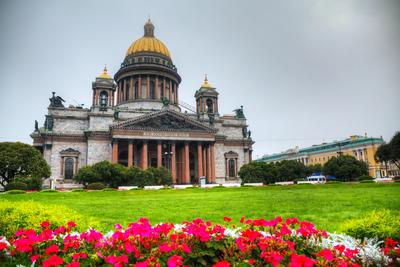 Весеннее настроение Санкт-Петербурга. | Пикабу