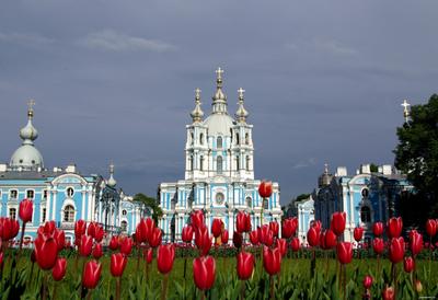 Ранняя весна в Санкт - Петербурге | Пикабу
