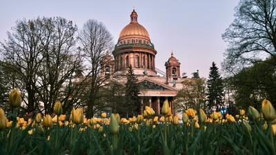 Весна в Санкт-Петербурге и пригородах (29 фото) - Блог / Заметки -  Фотографии и путешествия © Андрей Панёвин