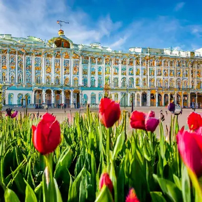 Весна в Санкт-Петербурге, векторная …» — создано в Шедевруме