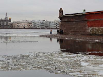 Ранняя весна в Санкт - Петербурге | Пикабу