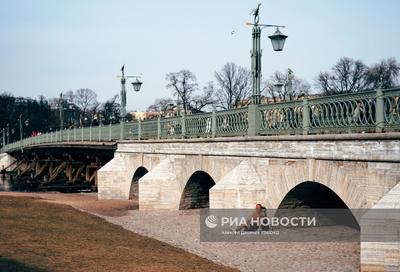 Цветение сакуры в Санкт-Петербурге