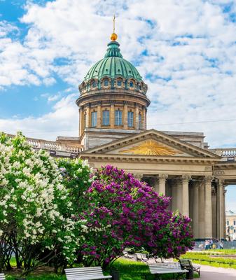 В Санкт-Петербурге назвали популярные новые туристические места | ИА  Красная Весна