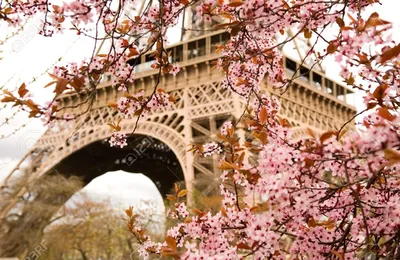 Весна во Франции фото