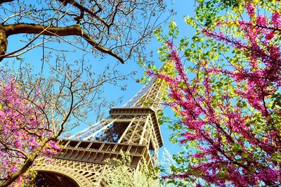 Эйфелева башня весной в Париже, Франция стоковое фото ©samot 46410471
