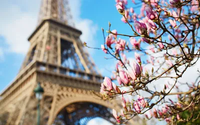 весна Франции paris стоковое изображение. изображение насчитывающей погода  - 19406115