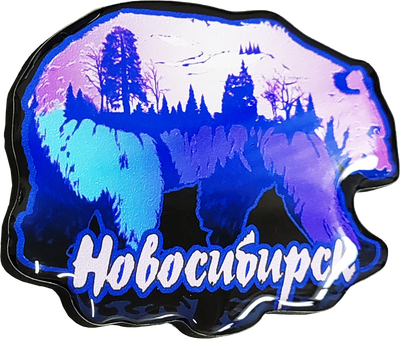 Режим «черного неба» ввели в Новосибирске — РБК