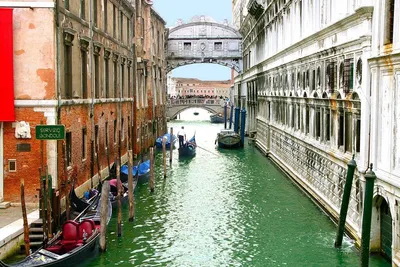 Чарующие виды Венеции (15 фото) | MigrantVisa | Дзен
