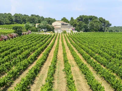 Жакер, мондез и другие редкие французские вина из Савойи — библиотека  сомелье проекта Luding (ex L-Wine)