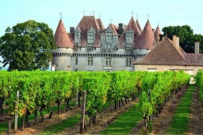 виноградники Франции стоковое фото. изображение насчитывающей луара -  15642710