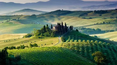 виноградники Италии Piedmont холмов Стоковое Изображение - изображение  насчитывающей природа, страна: 20451161
