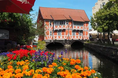 Row of historical houses, Wismar, Mecklenburg-Vorpommern, Germany Wall Art,  Canvas Prints, Framed Prints, Wall Peels | Great Big Canvas