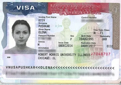 Виза в США для россиян в 2023 году. Как получить визу в США?