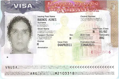 Документы для получения и оформления визы в США в 2024 году: полный список  и перечень