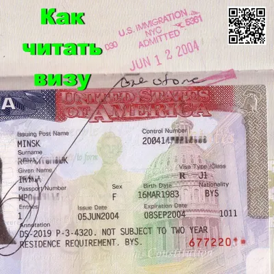 Vector USA passport visa sticker template in flat style Stock Vector |  Adobe Stock
