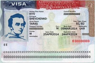 Vector international open passport with USA visa Stock Vector | Adobe Stock