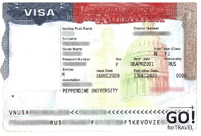 Виза в США 2024 для россиян – стоимость и порядок оформления для получения