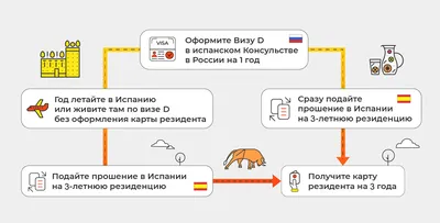 Виза D Испании (национальная долгосрочная): типы, документы, как получить.  Подробный обзор