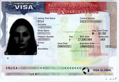 Виза в США | Типы и категории визы, наиболее популярные виды визы в 2024  году