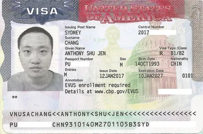 Фотография на визу в США: требования к изображению, композиция