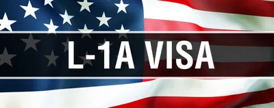 Как получить визу в Америку без отказа? Узнайте в статье! | МФВЦ | Дзен
