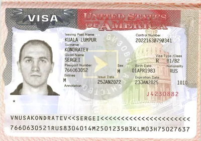 Виза в США для белорусов 2024, получить визу в США