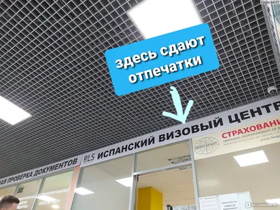 Визовый центр Испании в Екатеринбурге в 2024: график работы в пандемию, где  находится, когда открывается