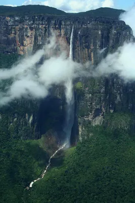 Достопримечательности Южной Америки: что посмотреть на континенте, овеянном  легендами | Водопад анхель, Водопады, Падшие ангелы