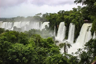 Водопады Игуасу: песня воды в Южной Америке - Библиотека туриста |  RestBee.ru
