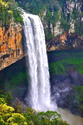 Игуассусский водопад в тропических джунглях Южной Америки Стоковое  Изображение - изображение насчитывающей джунгли, естественно: 270711911