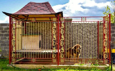 Вольеры для собак в Москве по доступной цене - www.a-fence.ru