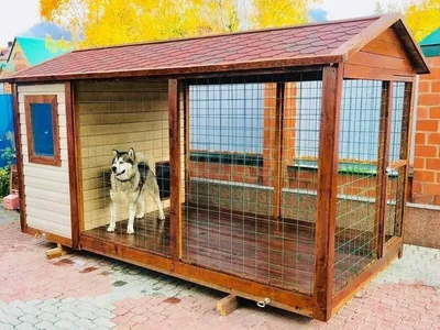 Вольер для собаки большой \"2В-1\" купить в Москве недорого