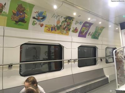 Двухэтажный поезд \"Москва-Воронеж\". Лучше, чем самолёт: душ, детский вагон,  ресторан и купе | Следуй за нами | Дзен