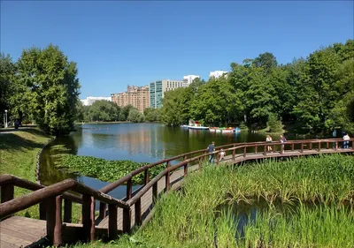 Воронцовский парк (Усадьба Воронцово), Москва - «Атмосферный и особенный  парк!!! Почему я не знала о его существовании раньше?» | отзывы