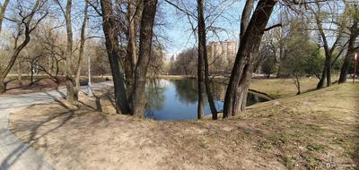 Воронцовский парк отбился от «Здоровой Москвы» - но угроза нависла над  другими парками