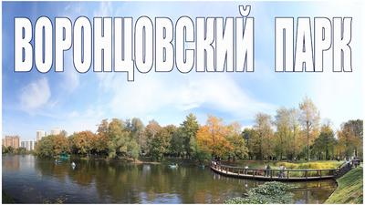 Московские Зарисовки - Город | Воронцовский парк