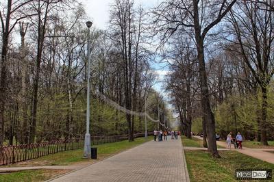 А я иду, шагаю по Москве: Воронцовский парк - YouTube