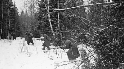 Война в цвете. Подборка фотографий из немецкого журнала Сигнал  1941-1943года. Часть 2 | Пикабу