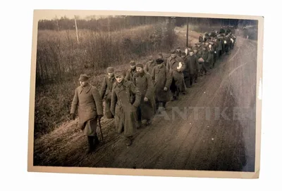 Фотографии Великой Отечественной войны из архива агентства РИА «Новости»