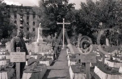 Фотография «Немецкие солдаты» (ВОВ). Германия (Третий рейх). Лот №3126.  Аукцион №123. – ANUMIS