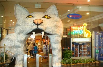 Выставки, которые создают сами их посетители: музей кошек в Москве