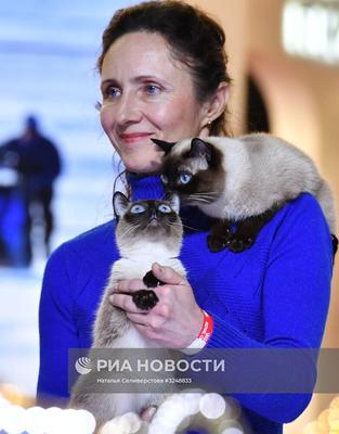 Shawls City - Новости, выставки кошек