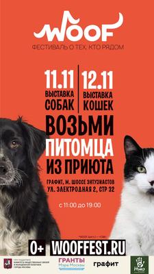Международная выставка кошек в Москве | РИА Новости Медиабанк